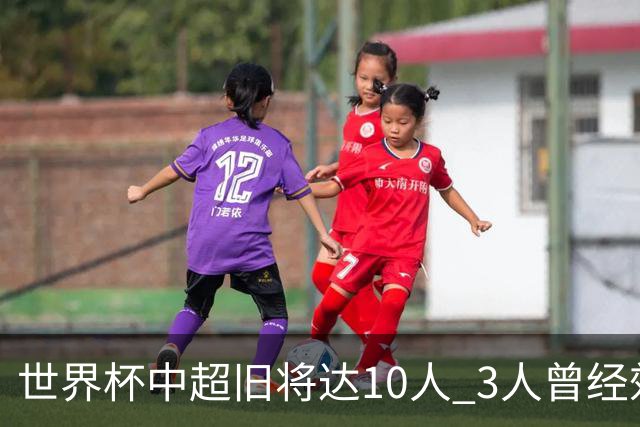 世界杯中超旧将达10人 3人曾经效力国安海港两将
