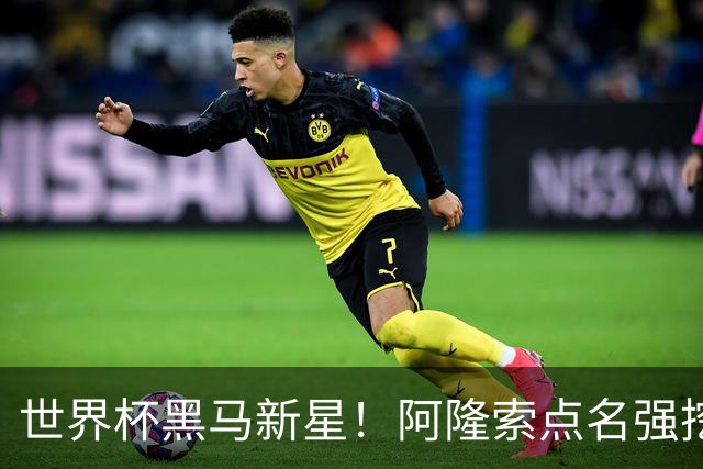 世界杯黑马新星！阿隆索点名强挖！切尔西领跑 3000 万天才