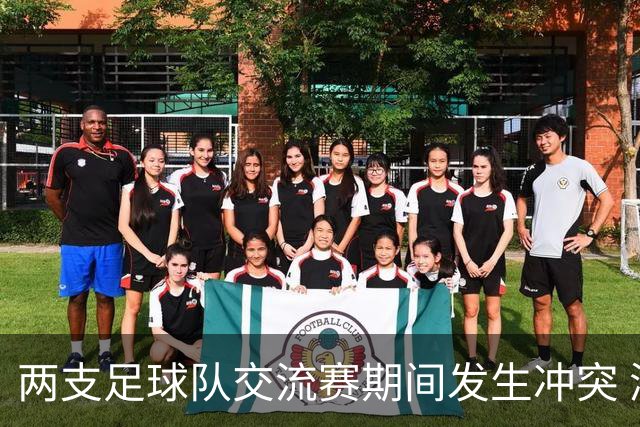 两支足球队交流赛期间发生冲突 湖南足协发声