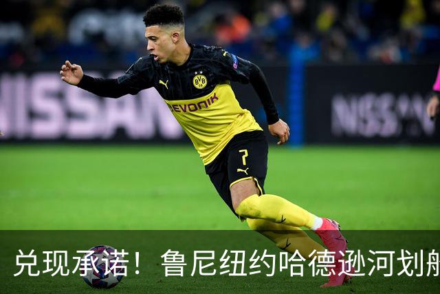 兑现承诺！鲁尼纽约哈德逊河划船 回应与哈兰德赌约