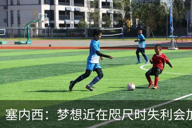 塞内西：梦想近在咫尺时失利会加倍刺痛，我们会重新站起来